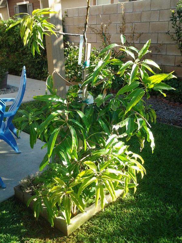 20131111_083646rotate