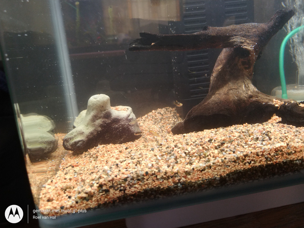 IMG_20201108_141921893