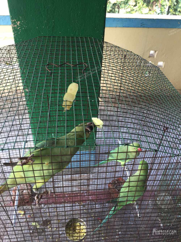 BBG&B6AroundTheGuesthousePics - 4