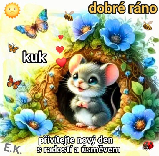 656357723-909944032029881-7887078165064614424-n