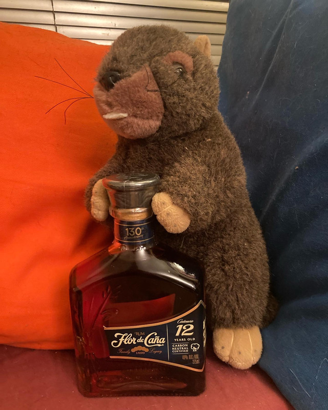 C7-C09-B69-D20-F-49-ED-820-D-B828892-C89-E3