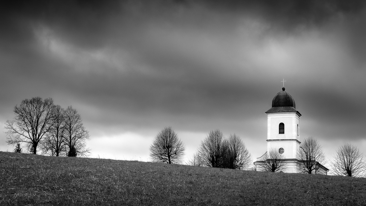 Obrázek