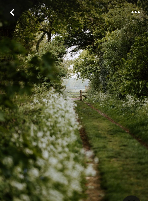 Screenshot_20240331_000826_Pinterest