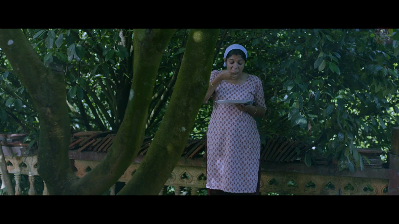 vlcsnap 2026 02 11 15h44m15s298