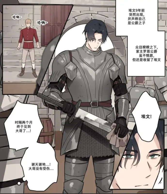 【c135】灰色城堡中的黑馬