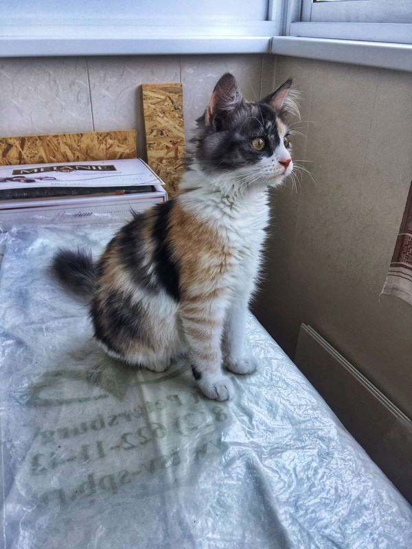 A7A66061-F1D1-409A-BB73-16761140974B