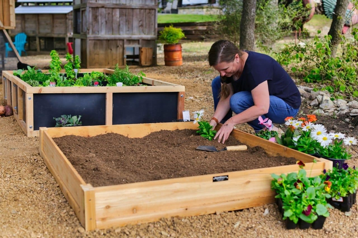 Raised Bed Gardening