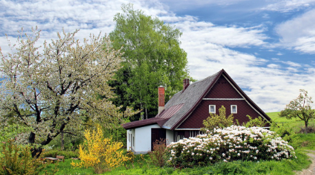 Home & Garden