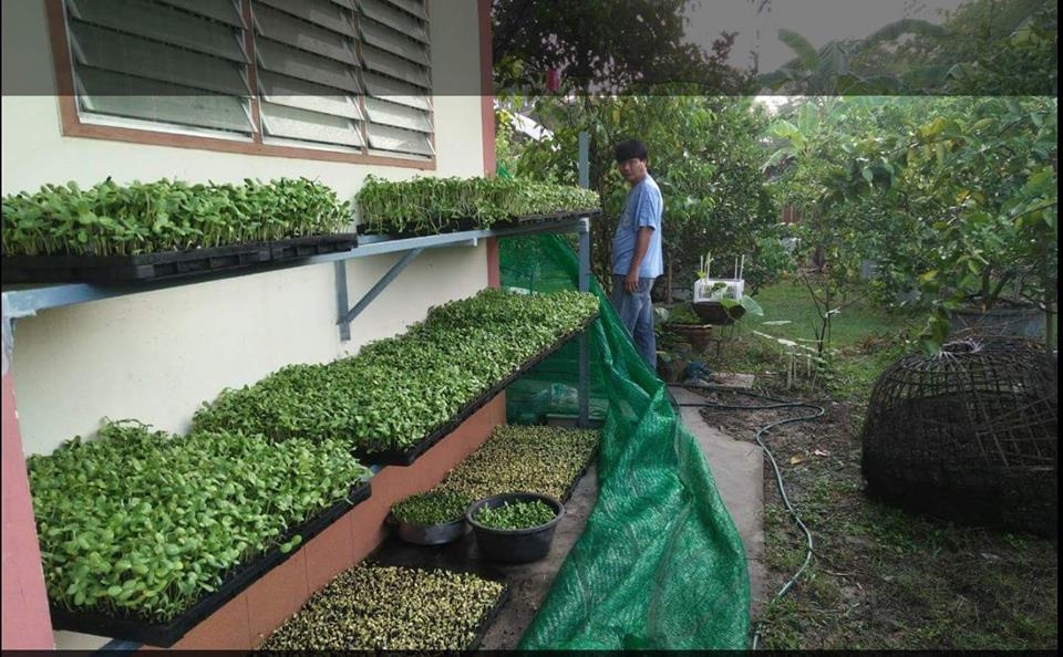 ดินปลูก_๒๐๐๙๒๕_12