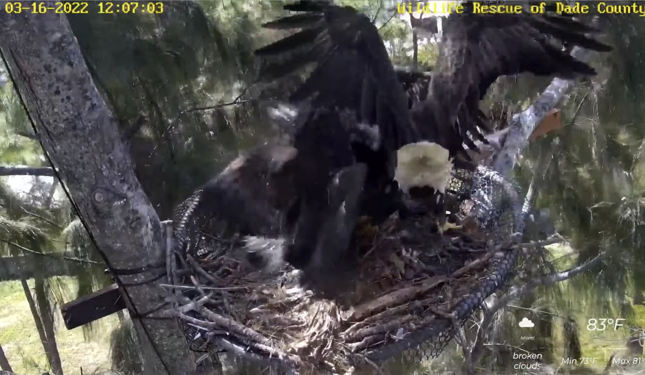 F1A7E427-45D6-42CE-A86E-40CBDAC8350F