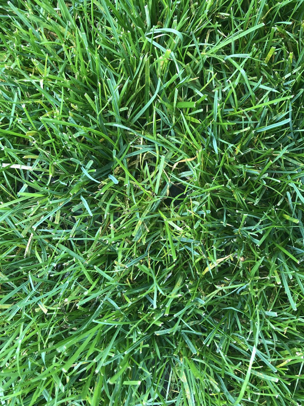 E1513E57-30C5-4F21-8DE4-B0B40F73DB4F