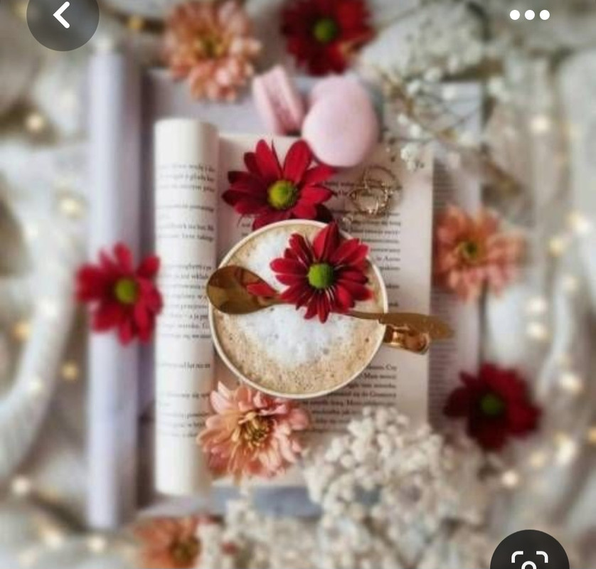 Screenshot_20230420_012655_Pinterest