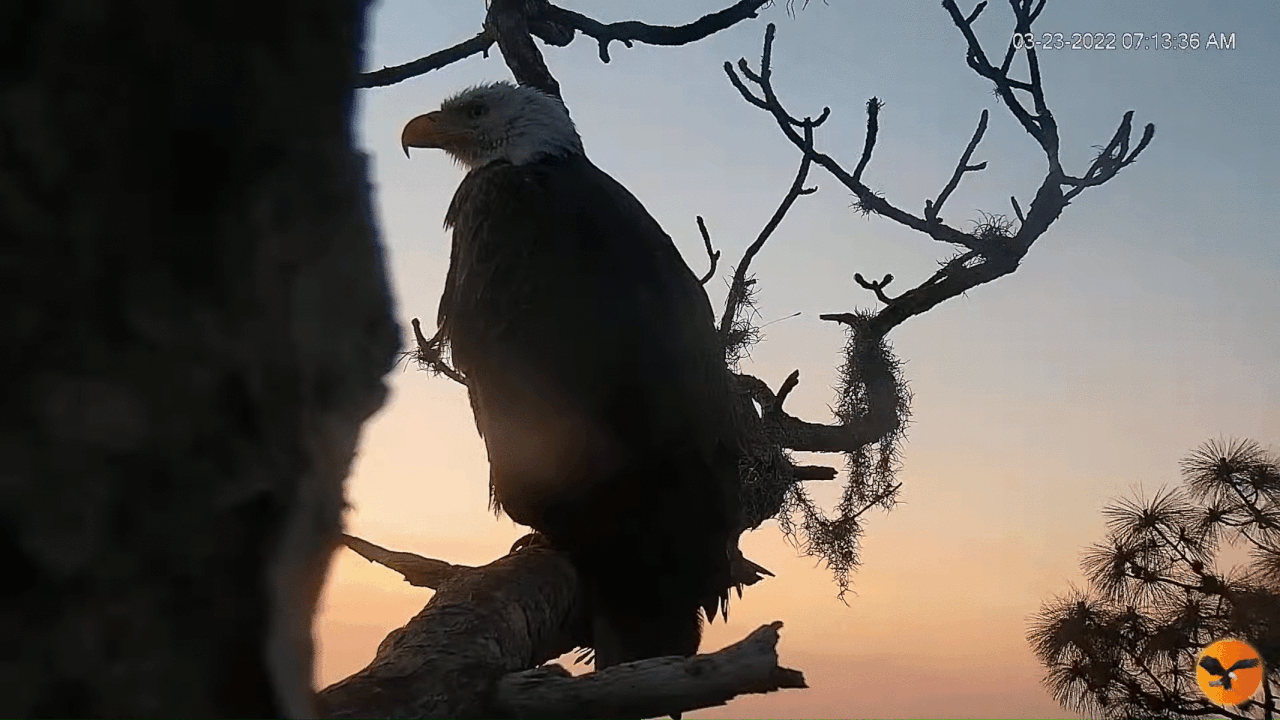 Webp.net-gifmaker (8)