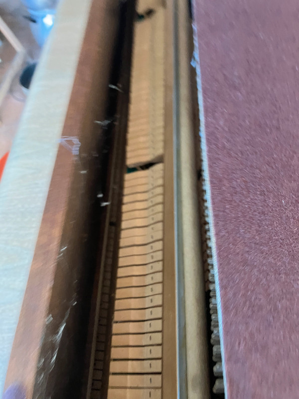 49e90724-5677-11ef-baf0-45ae91e4593b