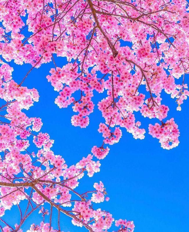 Screenshot_20240419_233818_Threads