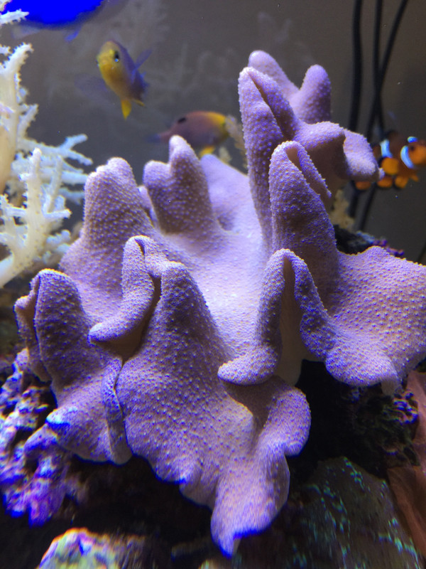 D288B640-4934-4469-89E8-8B57DE4995DC