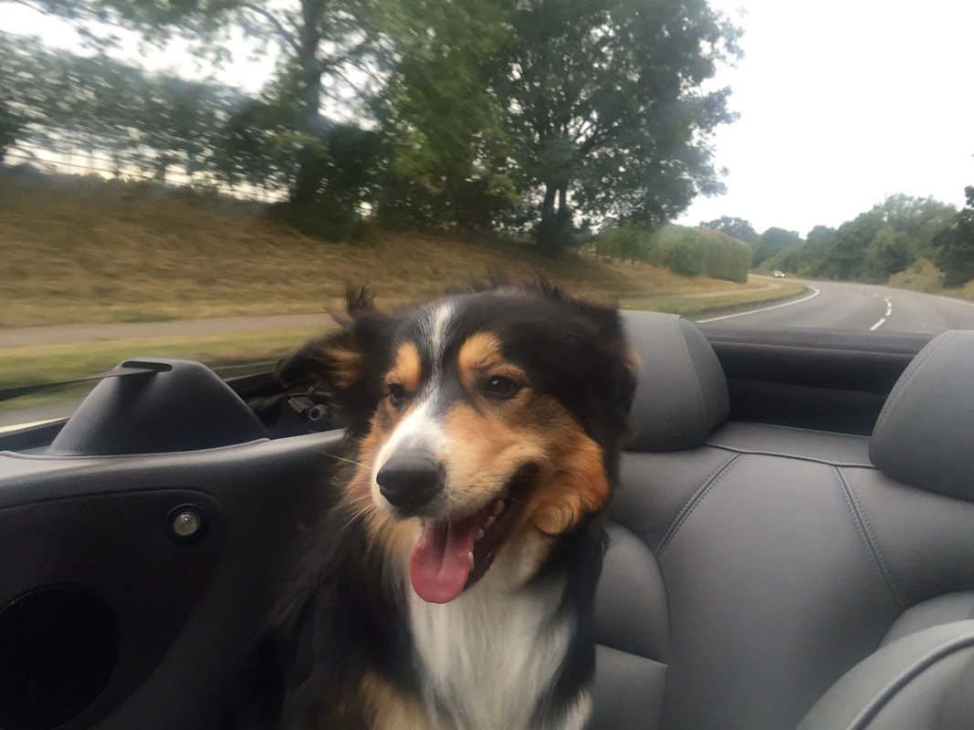 47D7A74C-CCE7-4E87-8358-28E92C9C4B0B