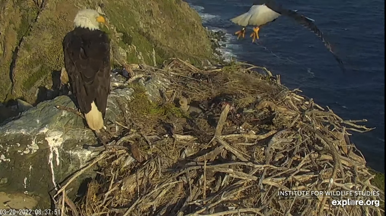 4E4D4CB9-34C5-4EA2-8FB5-3B6CFC77B3C7