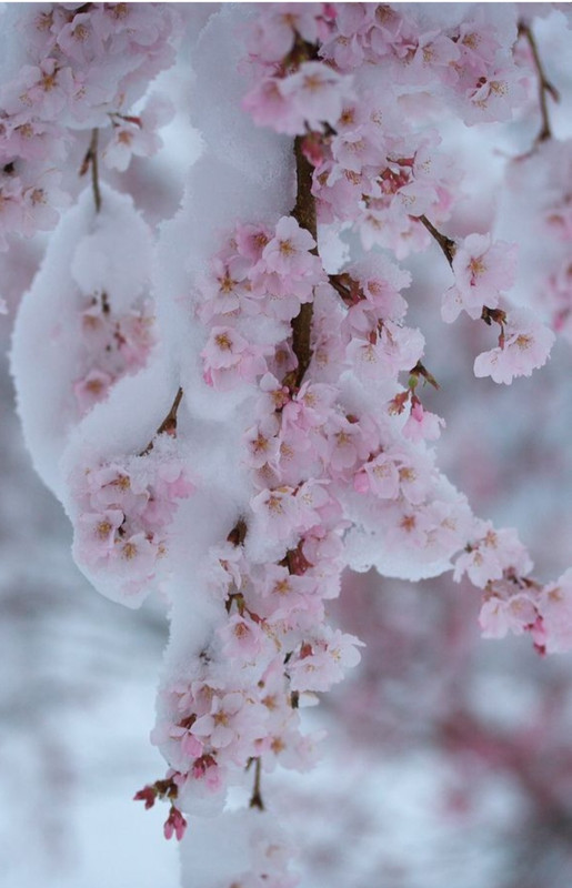 Screenshot_20221208-235134_Chrome