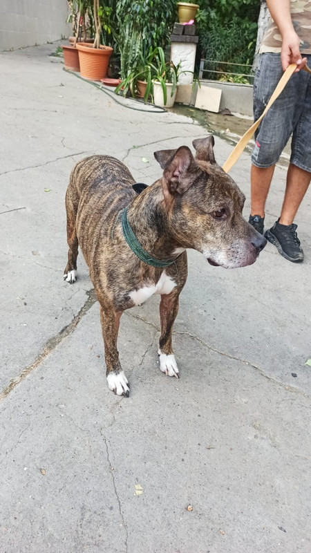 WhatsApp Image 2022-08-14 at 13.40.30 (1)