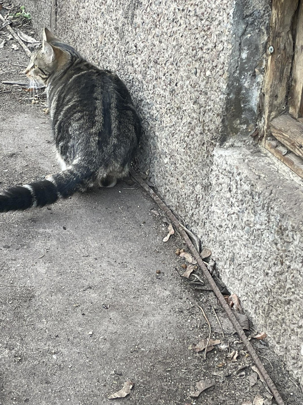 F7A2F418-6F20-4818-B04A-7878D4A64212