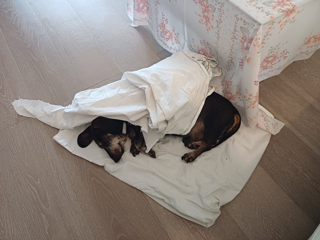 [Image: 1000039249.jpg]