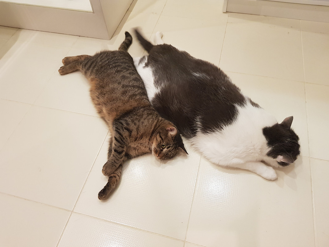20191125-102716.jpg