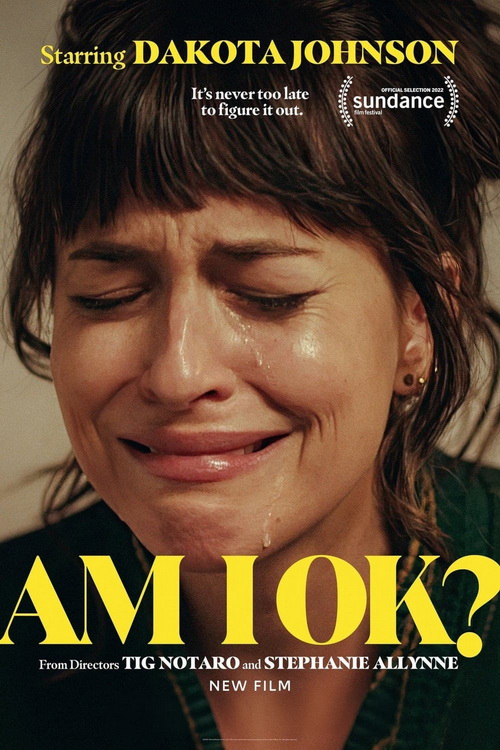 Wszystko Ze mną W porządku / Am I OK (2022) MULTi.1080p.MAX.WEB-DL.H264.DD5.1.Atmos.DD2.0-K83 / Lektor i Napisy PL