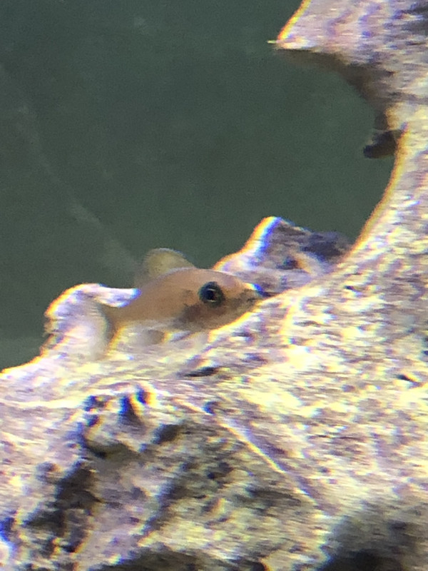 891B4A66-D1F8-46DC-8B77-B3E0B6D4E6BD