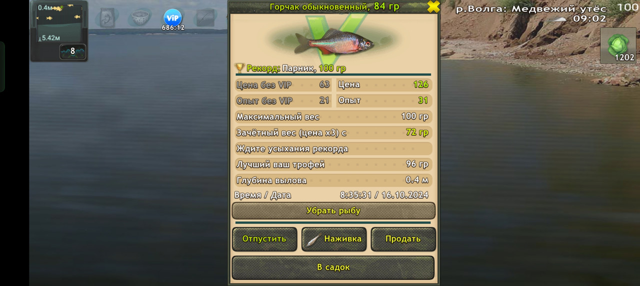 Screenshot-2024-10-16-08-35-37-44-fa28ee