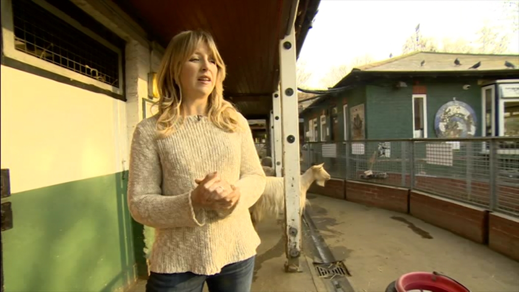 BBC London News_20220324_18301900.ts_snapshot_25.37.081