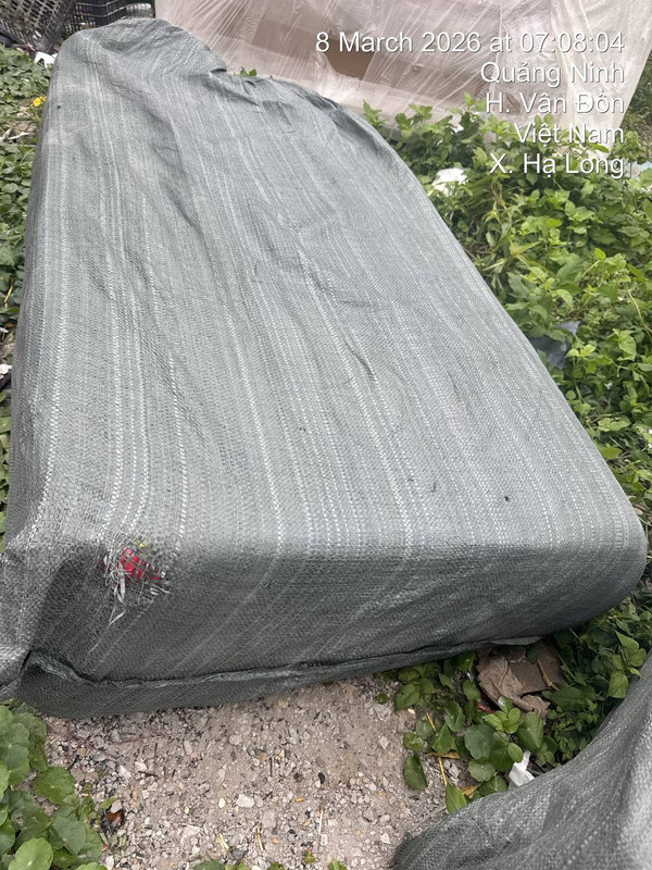 photo 2026 03 09 00 14 18