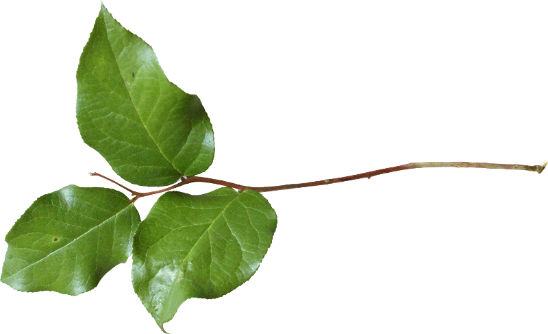 Clockwork Xmas (101)