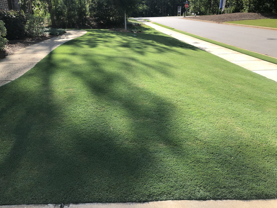 4B944097-2BEA-4085-8161-B01D69DA6FE5