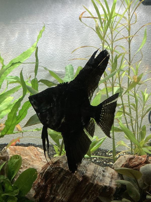 998DD064-D0BD-49A2-93E1-D0B4F1EFC075