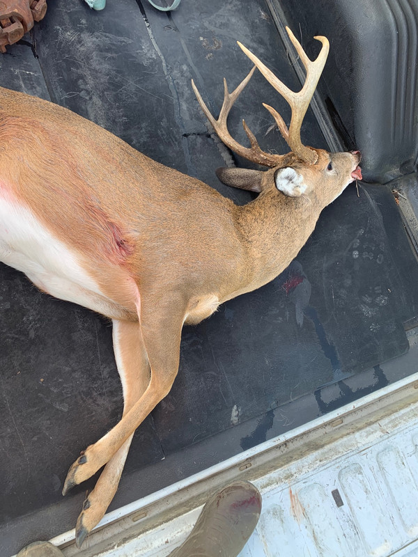 C0794ED1-C8F0-4830-8AC3-5854AB363CD5