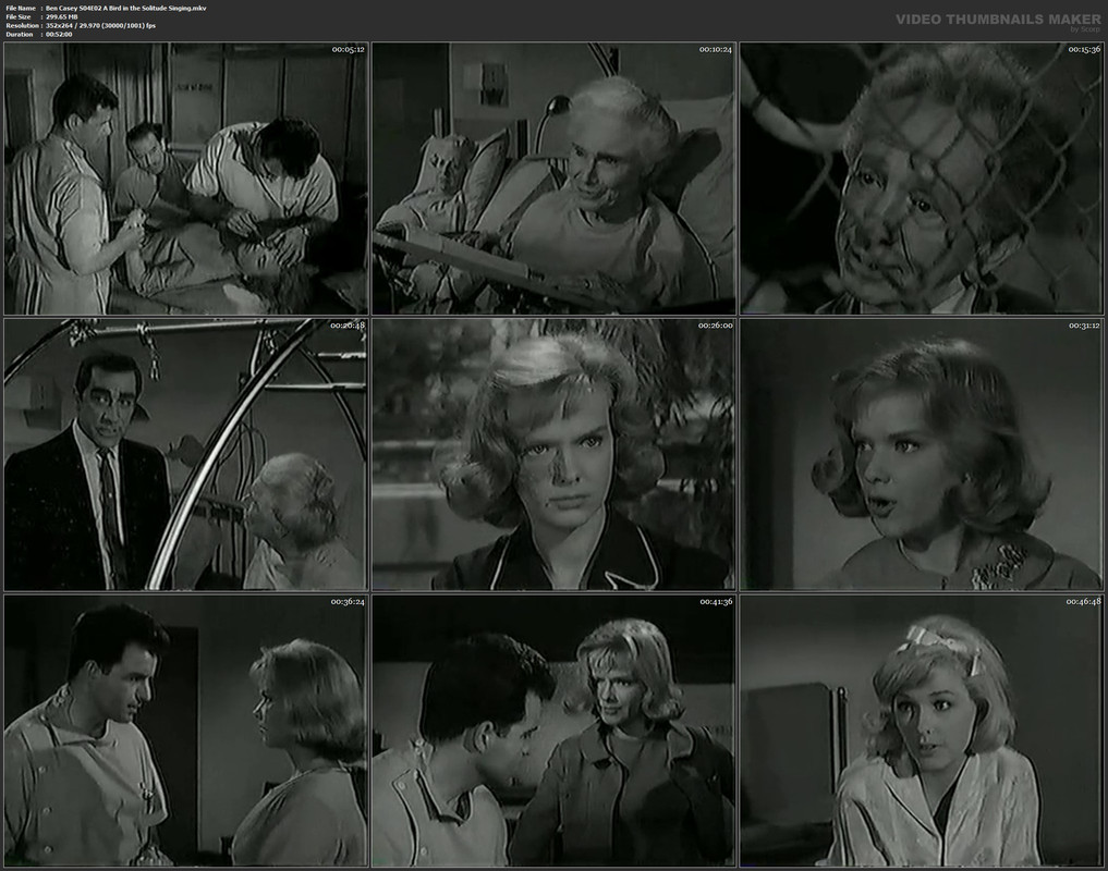 Ben Casey S04E02 A Bird in the Solitude Singing.mkv