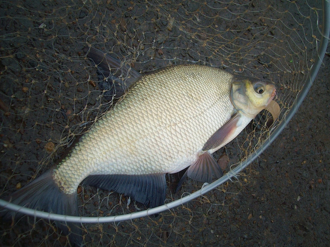 Добрянка30.09.13 01