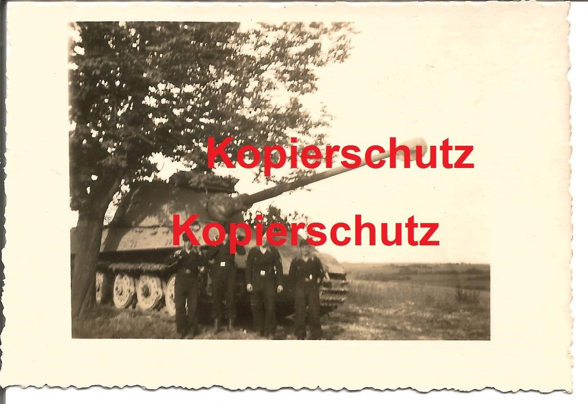 Tiger Panzer Abteilung 501 Königstiger in Polen bei Ostrowiec 19