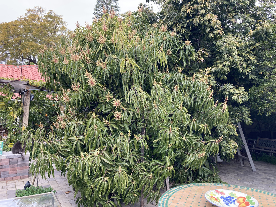 51B2B336-2AAC-4D8B-ACC2-789FB2E8E322