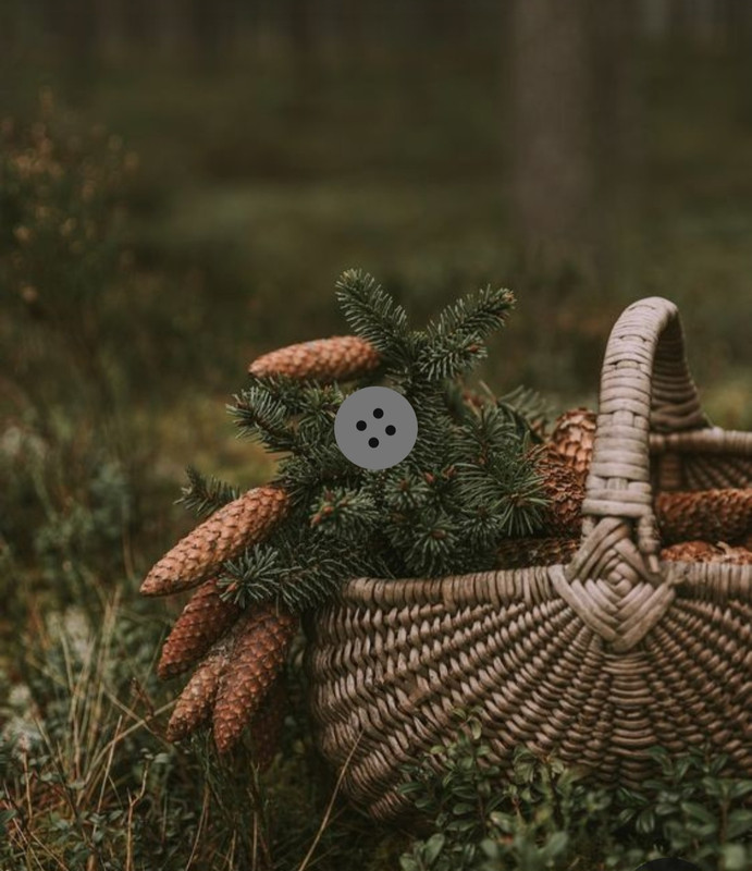 Screenshot_20231112_233238_Pinterest