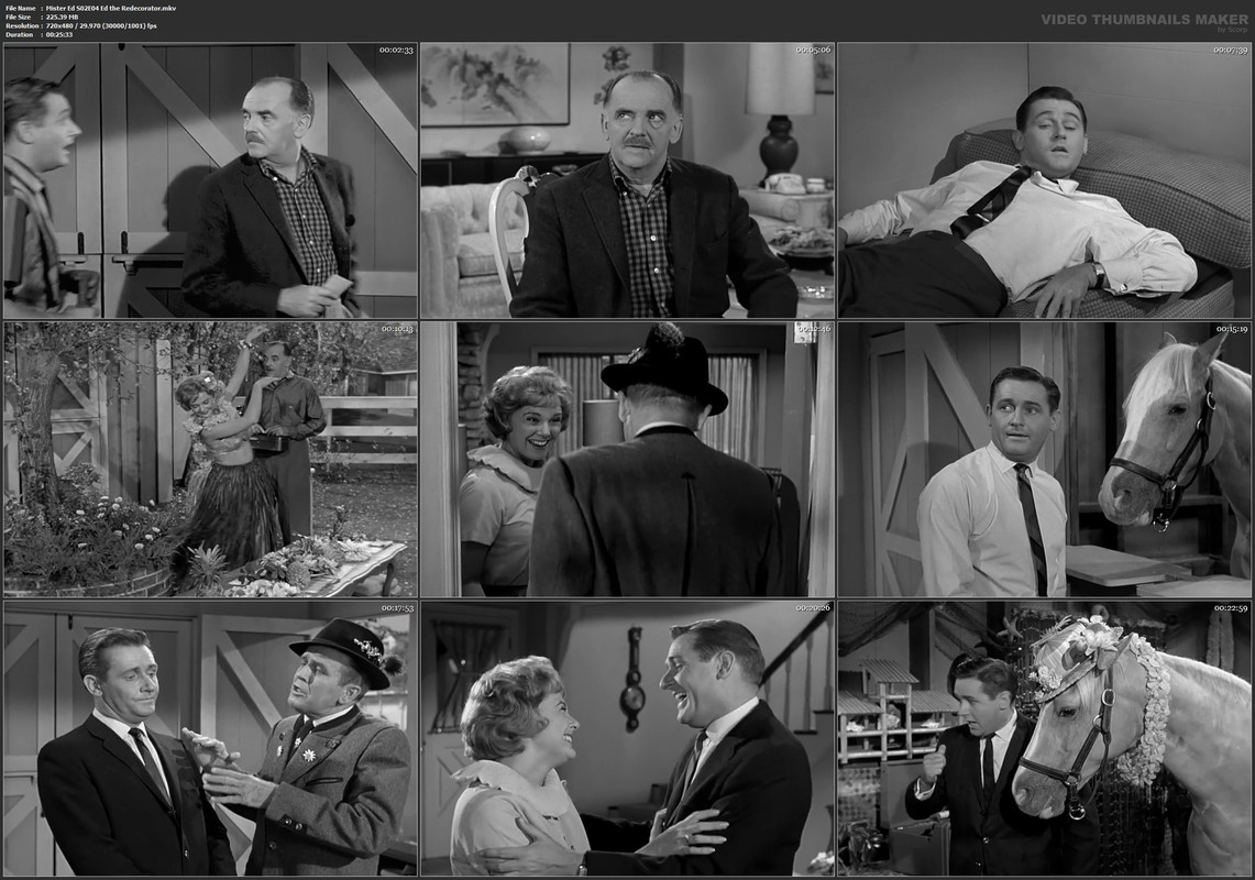 Mister Ed S02E04 Ed the Redecorator.mkv