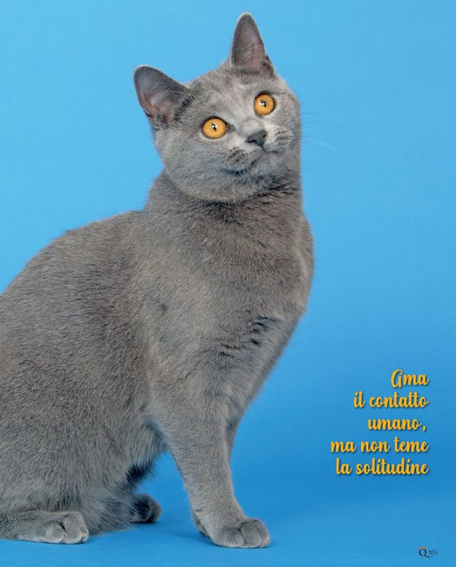 QuattroZampe Lug 2021 (12)