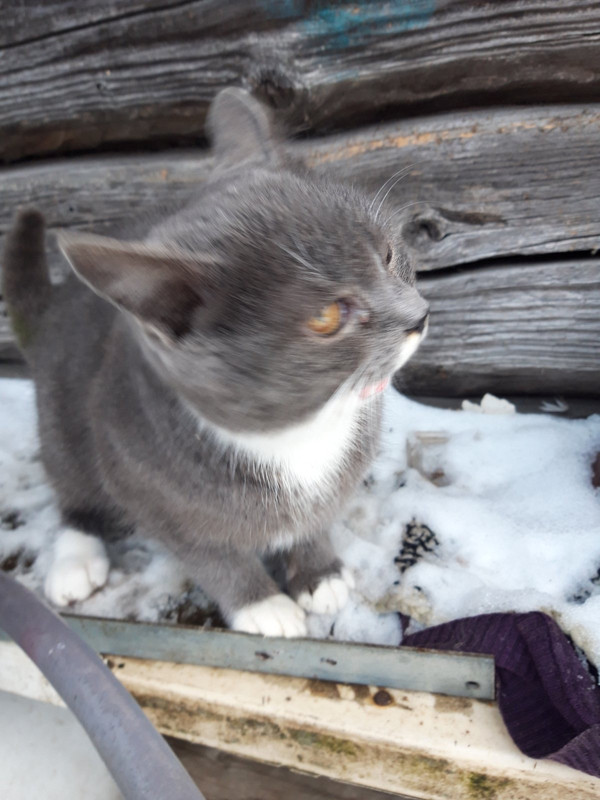 2A3181A5-6377-4416-8EC4-54A06ECD7B3C