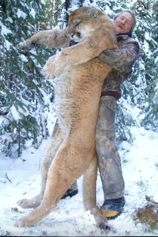 Screenshot 20260103 091005 Gallery