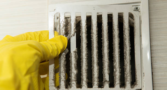 Sprinter Van Interior