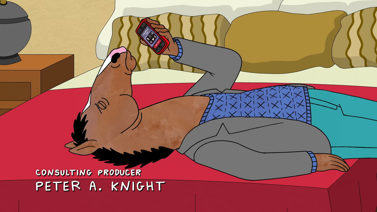 BoJack Horseman S03E01 (1080p NF WEBRip x265 HEVC 10bit DD5.1 He