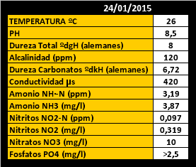 streptocephalus-2015-01-24-zps3pyghg9v.g