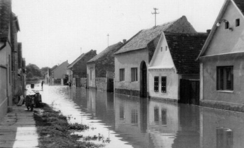 07ed53101e919dcfd0e13a3df949c879