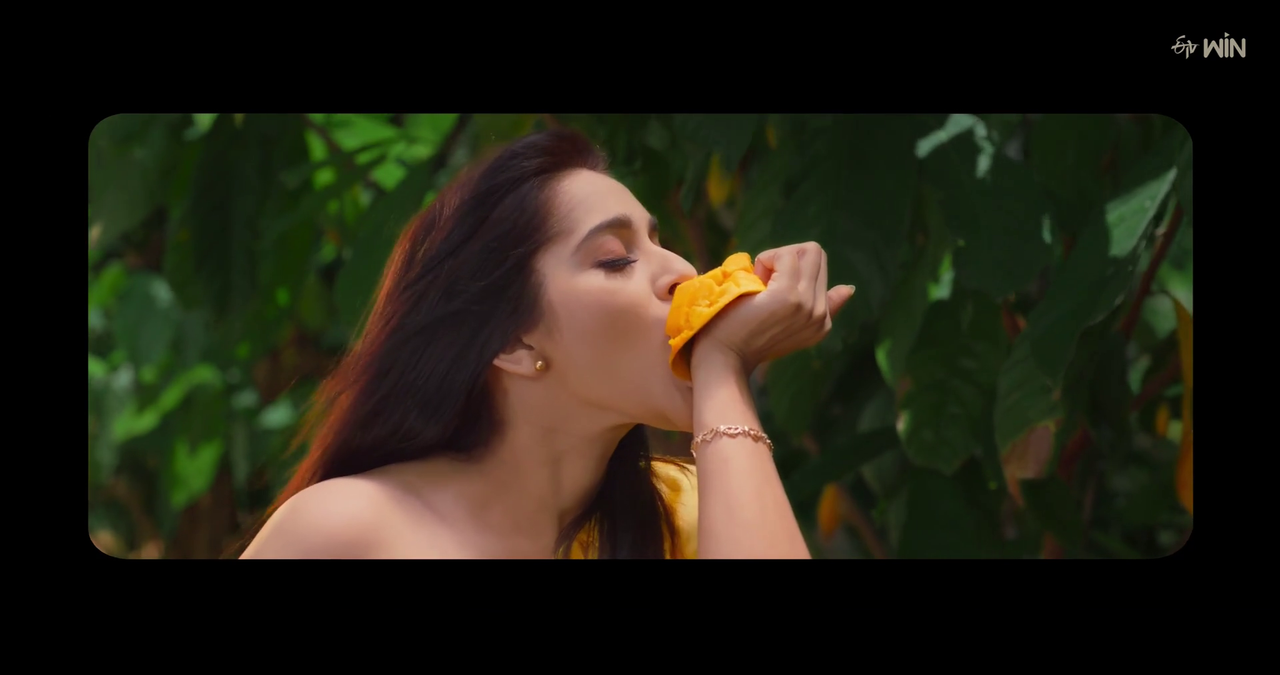 vlcsnap-2023-11-12-13h45m32s185